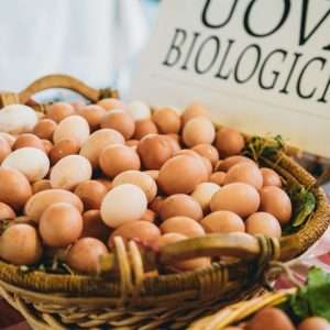 FLORENCE SANT' AMBROGIO MARKET VISIT AND COOKING CLASS