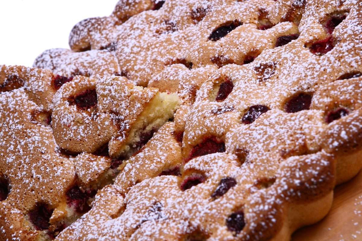 Schiacciata con l’uva, seasonal delight from Florence.