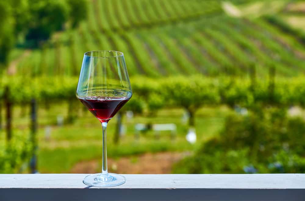 Pasta Cooking Class with Wine Tastings in Florence: Why Unlimited Wine Can’t Be Served