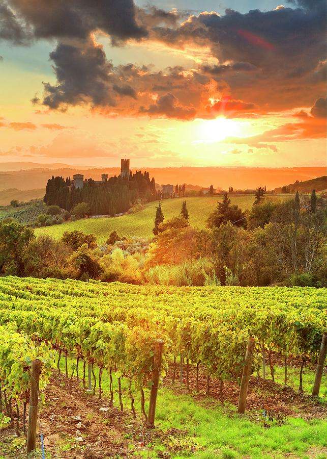 From Farm to Table: The Authentic Experience of a Tuscan Cooking Class