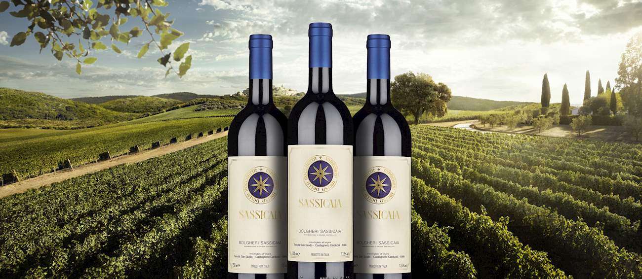 Bolgheri Wines: History, Regulations, and Distinctive Features of This Renowned Tuscan Territory