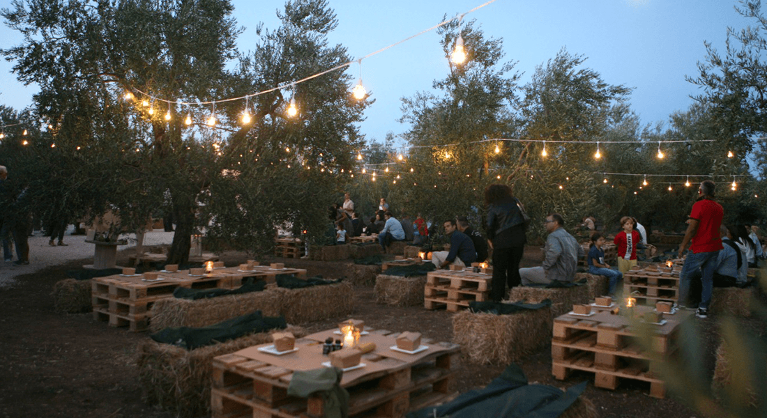 A group of people eating in an olive grove during the harvest.