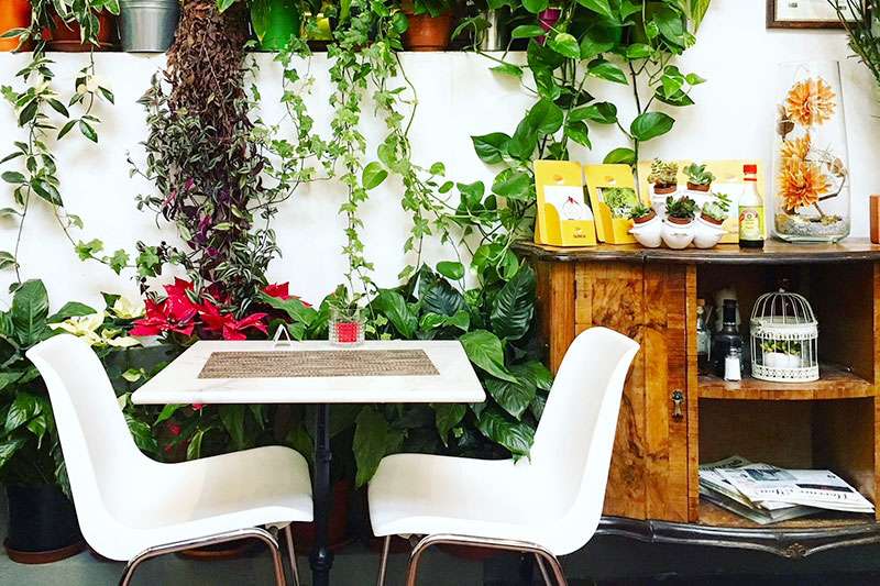 A small table and two chairs in the foreground in one of Florence's gluten-free restaurants.
