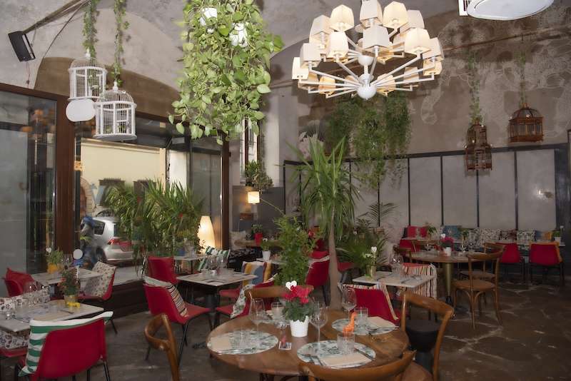 For anyone wondering where to eat vegan cuisine in Florence, where to find vegetarian restaurants in Florence, or where to take a plant-based cooking class in Florence, the city offers a rich and varied food scene.